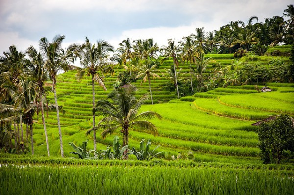 Bali buscará ser destino destacado para el turismo de aventura