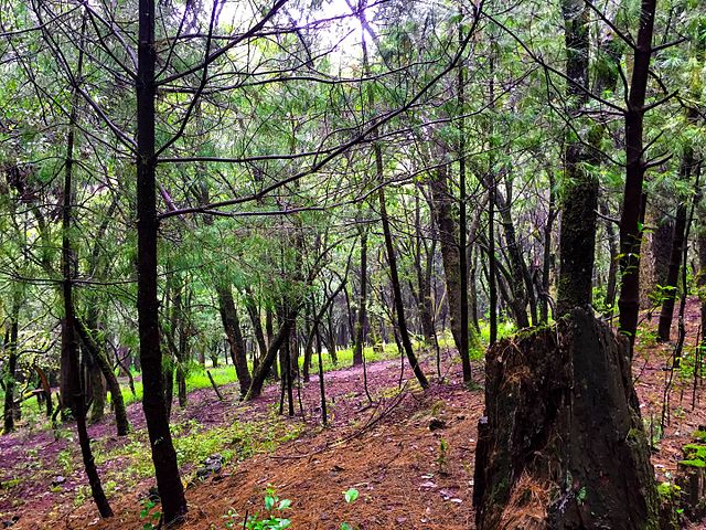 México quiere fomentar el Ecoturismo