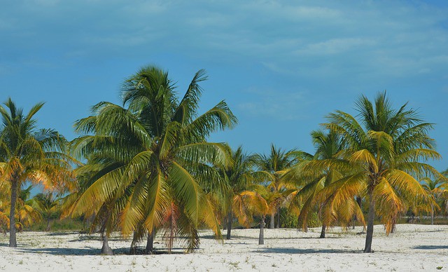 Cuba apostará por diversificar sus productos turísticos