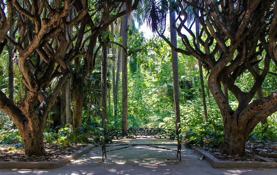 Conoce el Jardín de Pruebas de Hamma