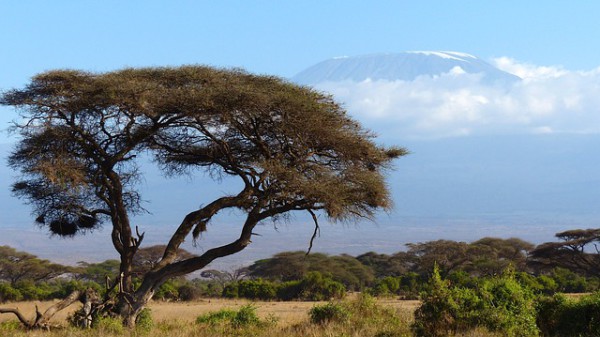 Más turistas se interesan por conocer Kenia
