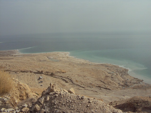 Avistamiento de aves en Eilat durante las vacaciones