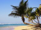 Aumentan los turistas norteamericanos en República Dominicana