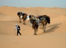 Cinco consejos para viajar con seguridad al Sahara (o a cualquier otro desierto)