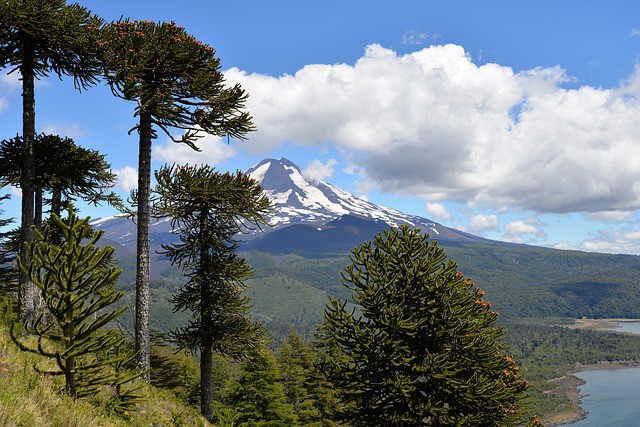 Chile ampliará sus parques nacionales