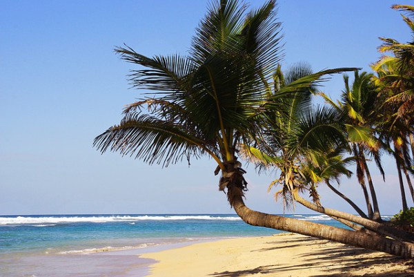 República Dominicana quiere fomentar el turismo gastronómico