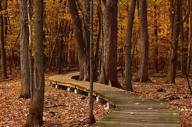 The Great Trail, el sendero más largo del mundo está en Canadá