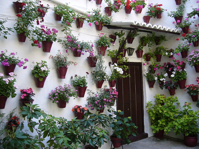 Mayo en Córdoba, un mes de fiesta entre flores