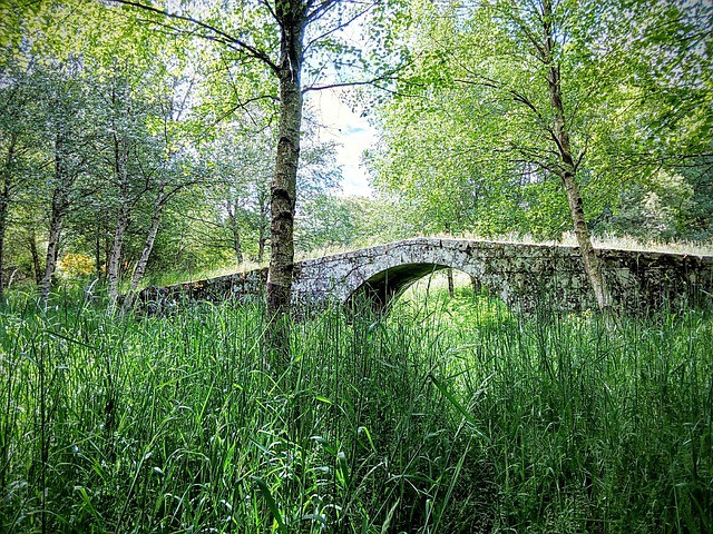 Galicia quiere potenciar el sector turístico