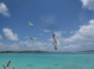 Conoce el renovado Meliá Nassau Beach en Bahamas