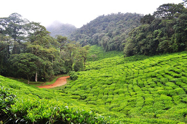 La Biodiversidad y recursos culturales, grandes alicientes turísticos en Colombia