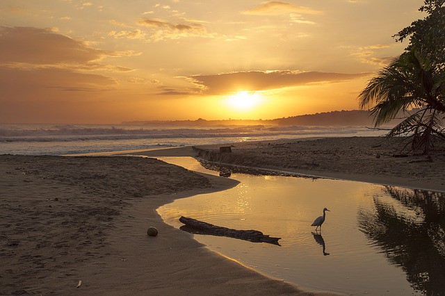 Costa Rica buscará nuevas inversiones en materia de turismo