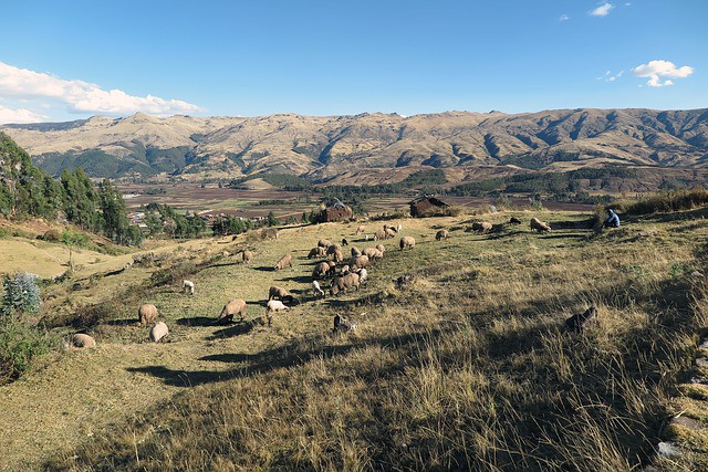 El Titicaca Train llega a Perú