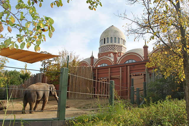 Conoce el Jardín Botánico y Zoo de Cincinnati