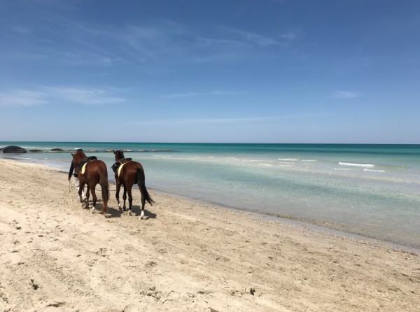 Playa Djerba