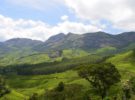 Kerala se compromete con el turismo verde