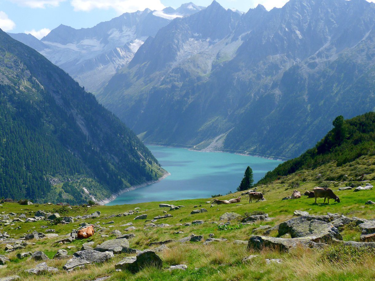 Vacaciones de verano en granjas del Tirol