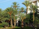 BlueBay Hotels anuncia un nuevo hotel en Túnez
