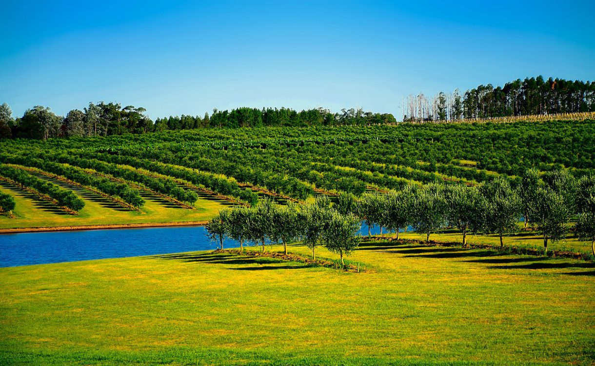 Lugares para disfrutar en Uruguay durante el otoño