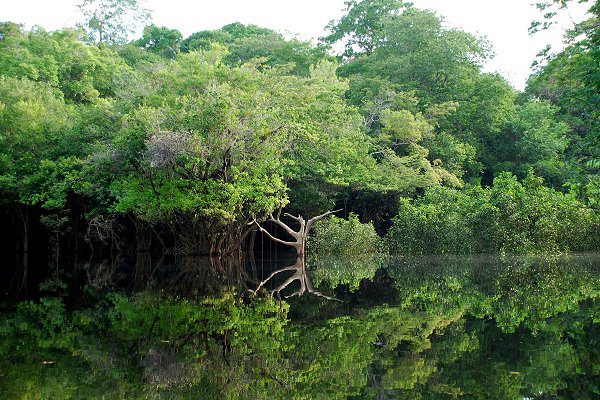 Perú quiere fomentar el turismo en la Amazonía