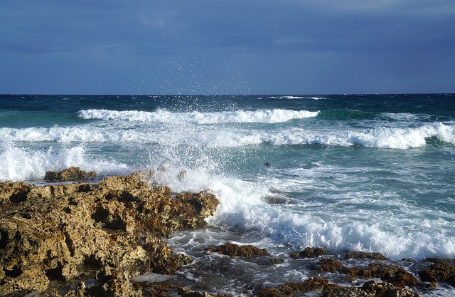 El Foro de Turismo Sostenible en Cozumel