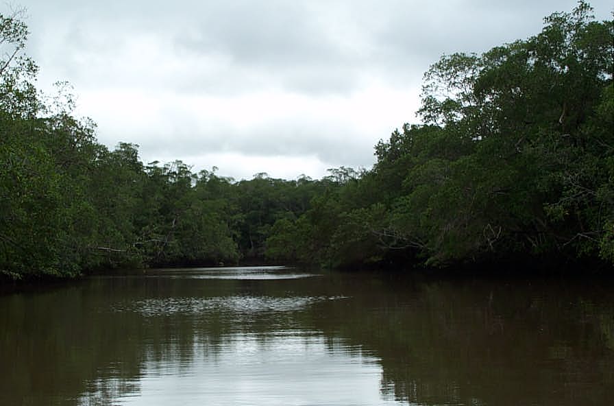 La impactante Península de Nicoya