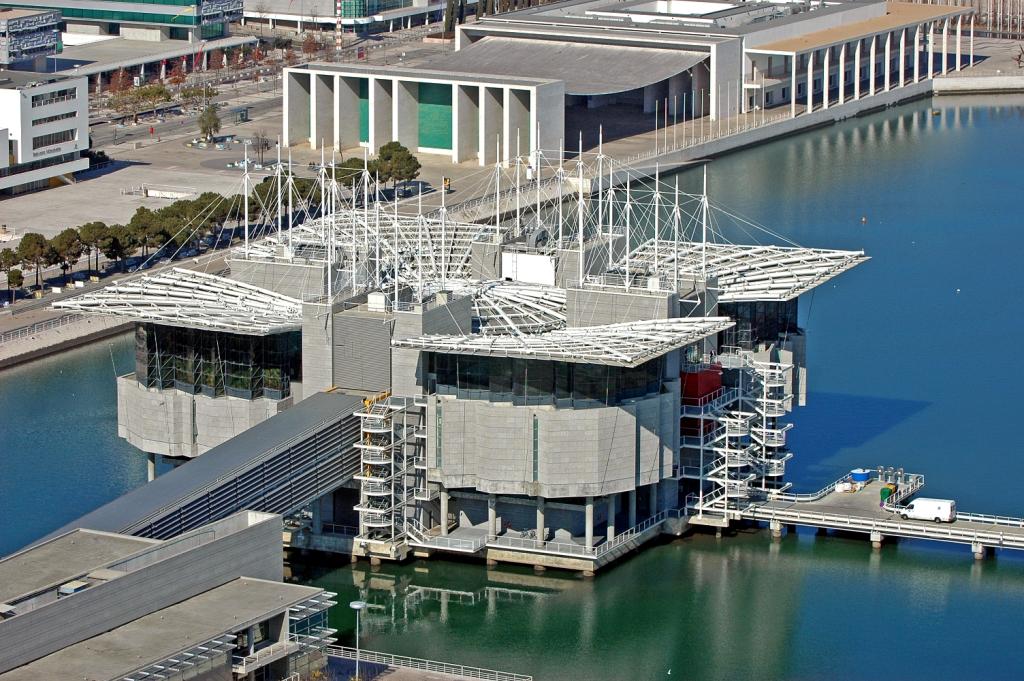 El Oceanário de Lisboa, el mejor del mundo según Tripadvisor