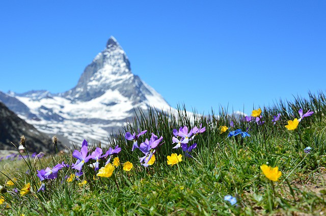 Descubrir los encantos de Suiza