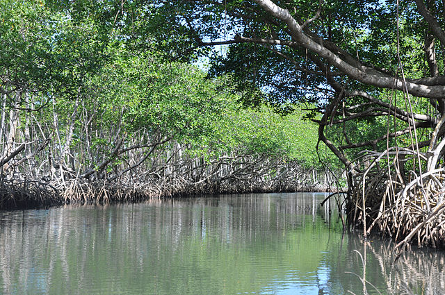 Los lugares increíbles para conocer en República Dominicana