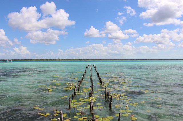 El éxito de Quintana Roo en materia de cruceros