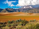 Bolivia potenciará su imagen a nivel internacional