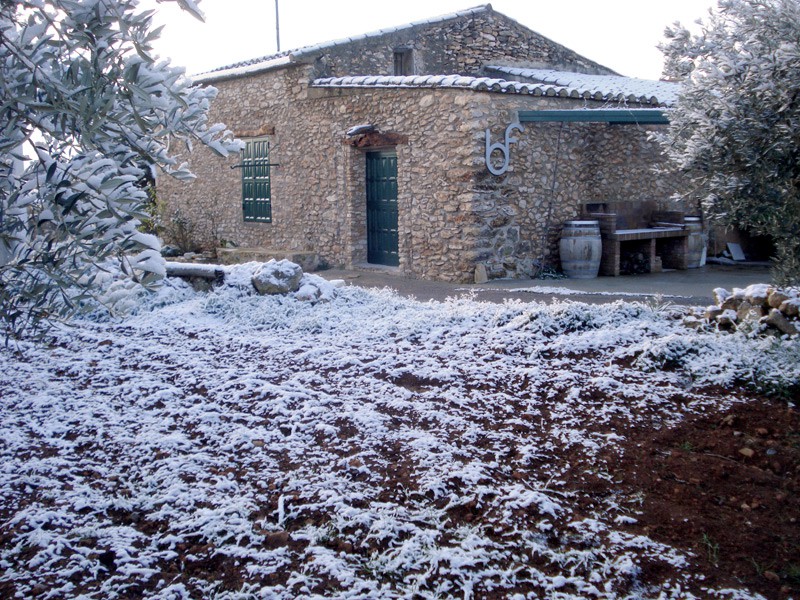Bodega Flors, una visita al corazón del vino de Castellón