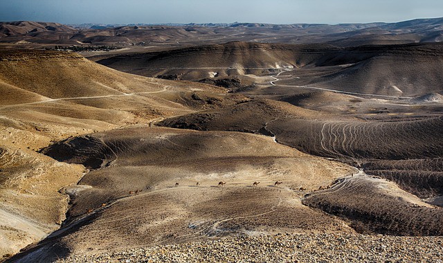 Las zonas naturales para conocer en Israel