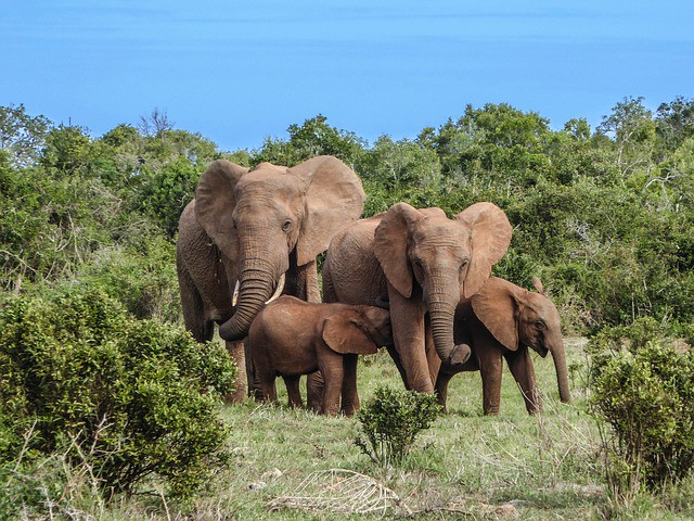 Sudáfrica apuesta por fomentar el turismo