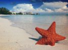 El Riu Palace Paradise Island de Bahamas se renueva