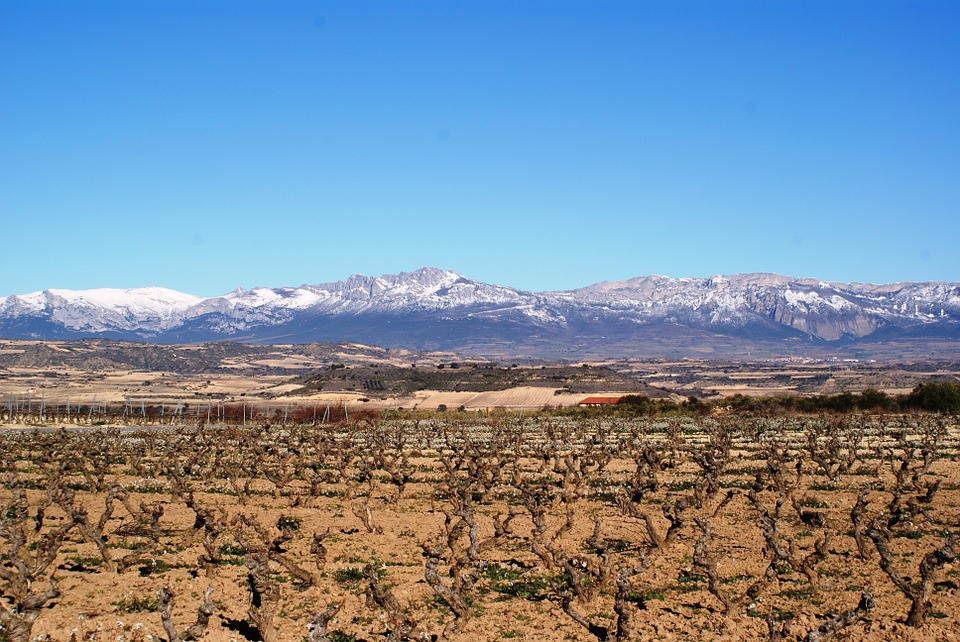 La Rioja, el mejor destino para una escapada según Atrápalo