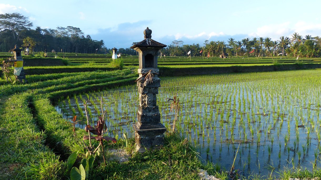 Indonesia será un país destacado en 2018