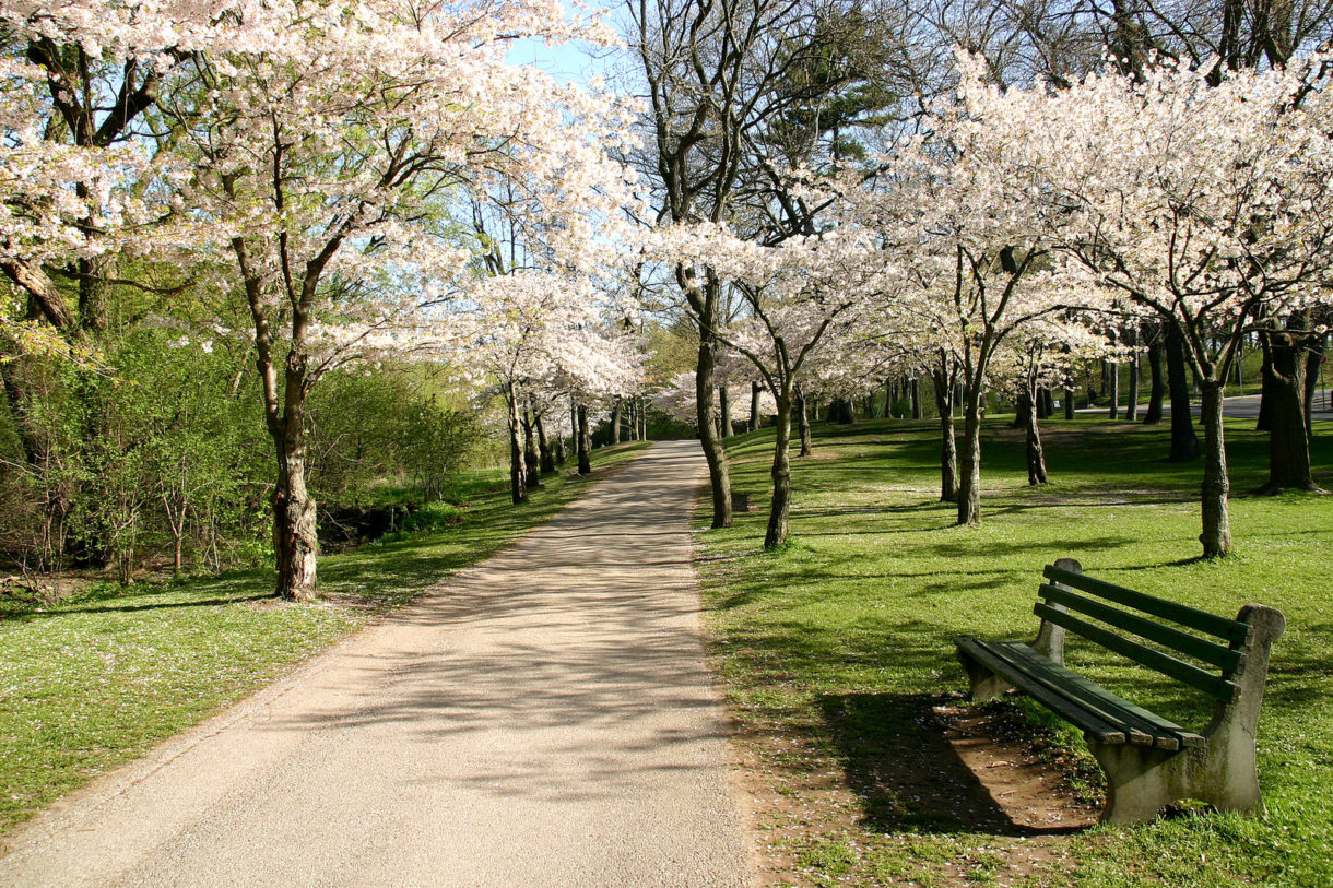 Los mejores parques urbanos de Canadá