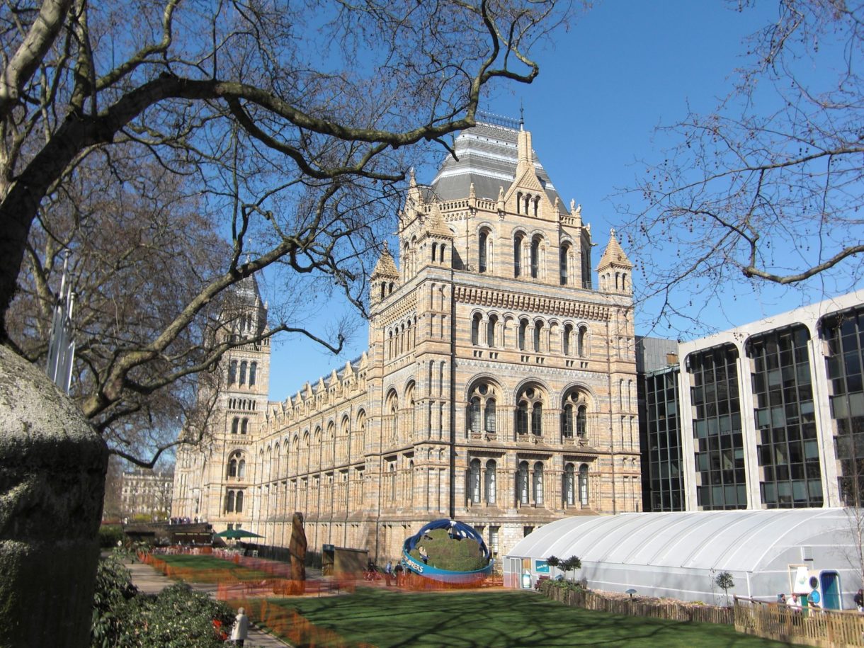 Vive una Noche en el Museo de verdad, en el Museo de Historia Natural en Londres