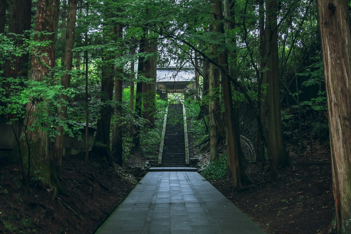 Las experiencias para disfrutar de un viaje especial en Japón