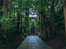 Las experiencias para disfrutar de un viaje especial en Japón
