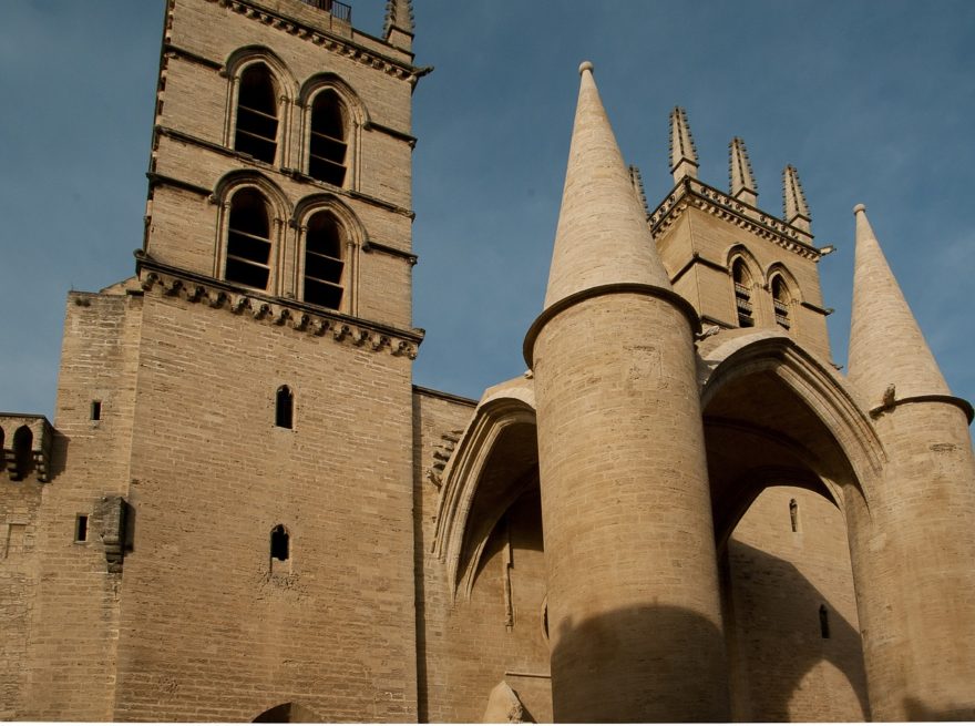 Top 5 de los mejores museos de Montpellier