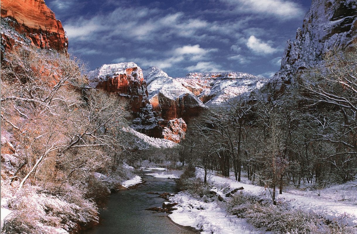 Las 5 mejores cosas para hacer en el Parque Nacional Zion