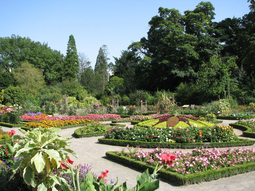 Jardín Botánico de Lyon: un recorrido natural impresionante