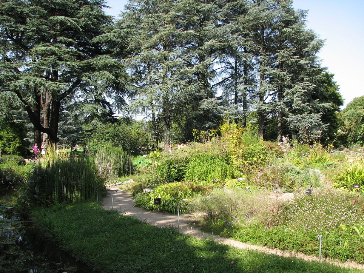 Jardín Botánico de Lyon: un recorrido natural impresionante