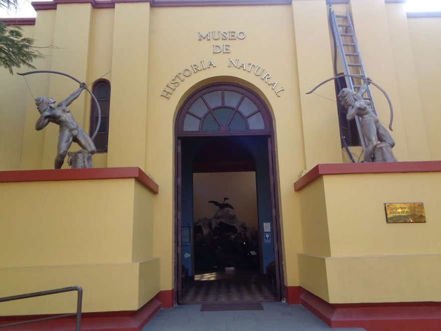 Museo de Historia Natural de Lima, una visita disfrutar de la flora y fauna de Perú