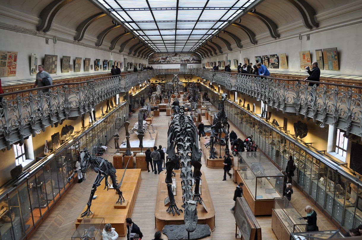 El museo de Historia Natural de París, un museo diferente en la capital francesa