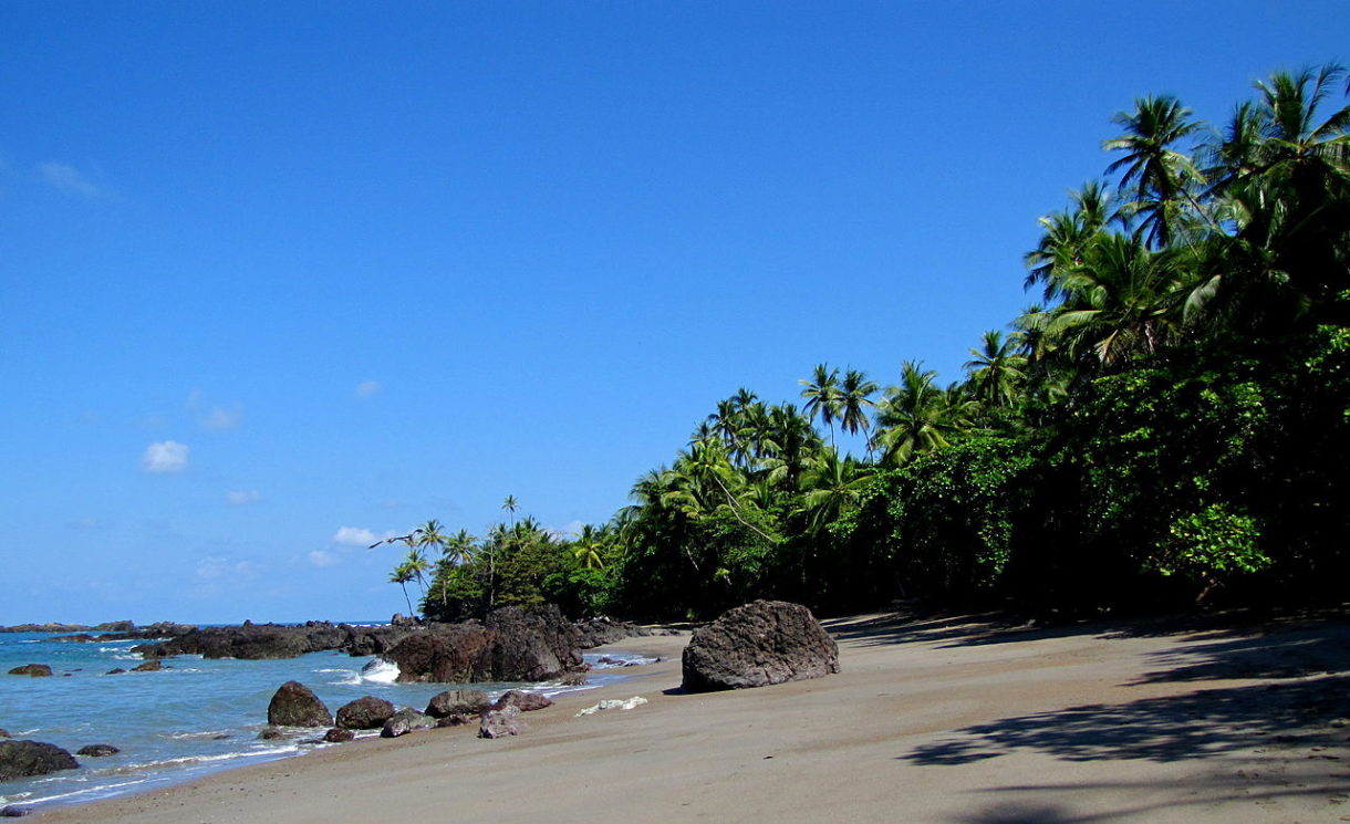 El Parque Nacional Corcovado en Puntarenas Sur de Costa Rica, una zona natural para disfrutar de una grata experiencia