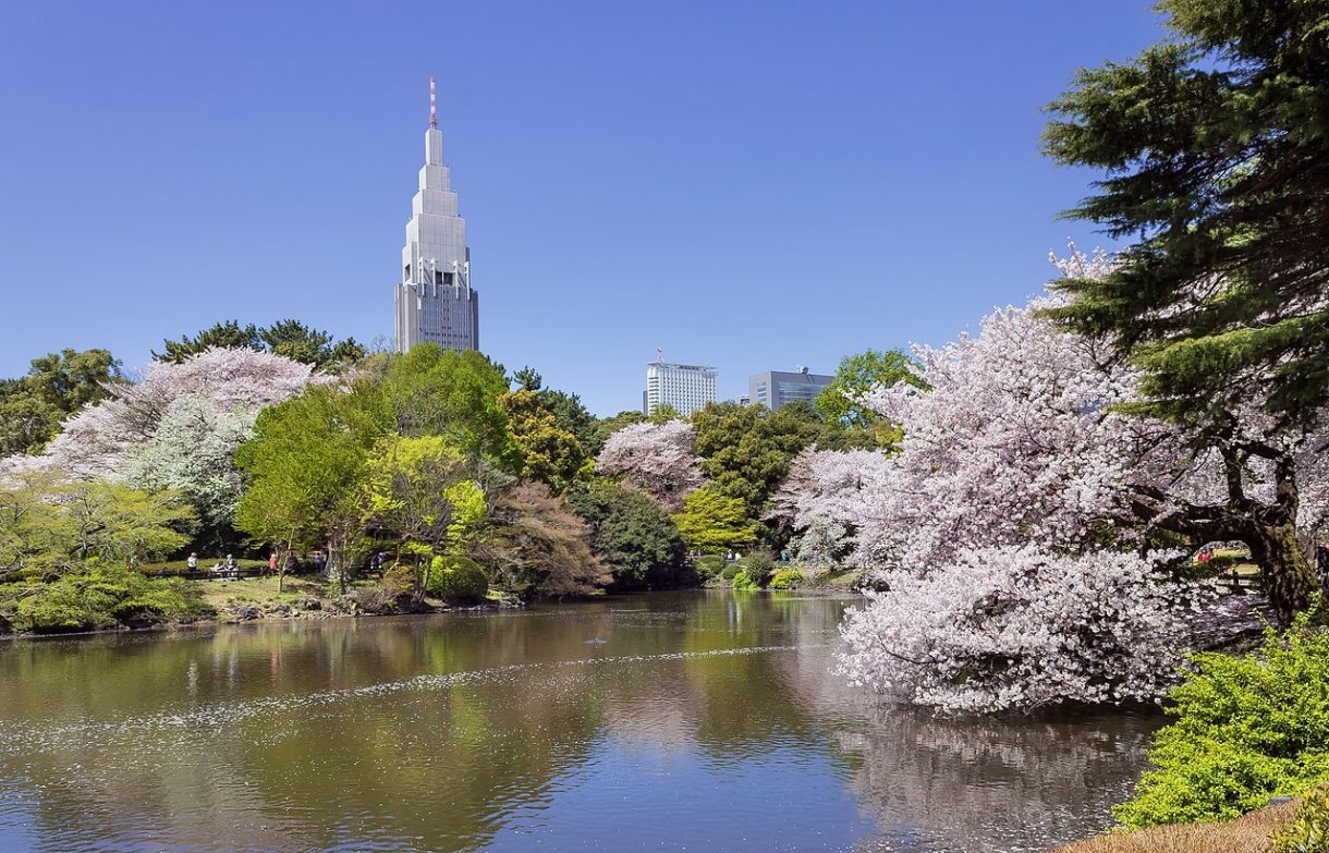 Jardín Nacional Shinjuku Gyoen, un rincón natural para descansar y desconectar en Tokyo