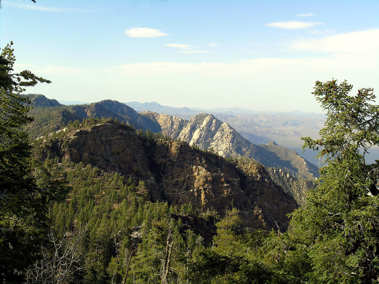 El Parque Nacional de San Pedro Mártir, un parque diferente para disfrutar de una aventura natural